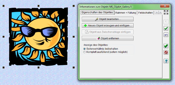 Heyer's Video-Cover - Objektfeld